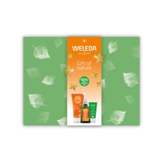 WELEDA SET ARNICA SPORT LUXE GIFTSET